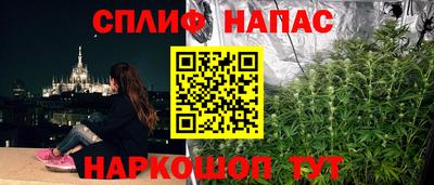 бошки Краснодар